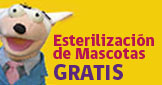 logo_ESTERILIZA (1)