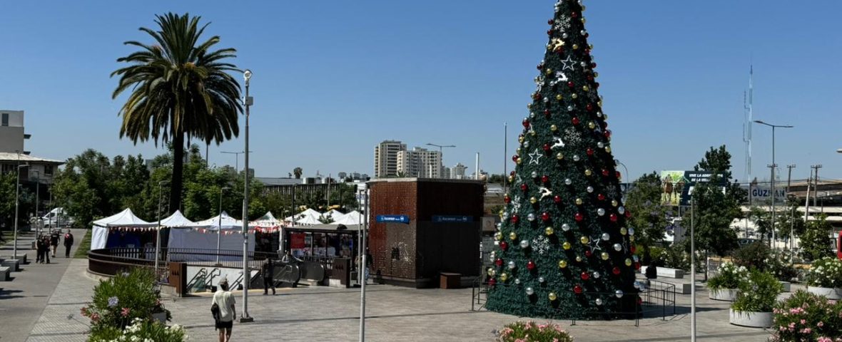 WhatsApp Image 2025-12-19 at 12.13.36