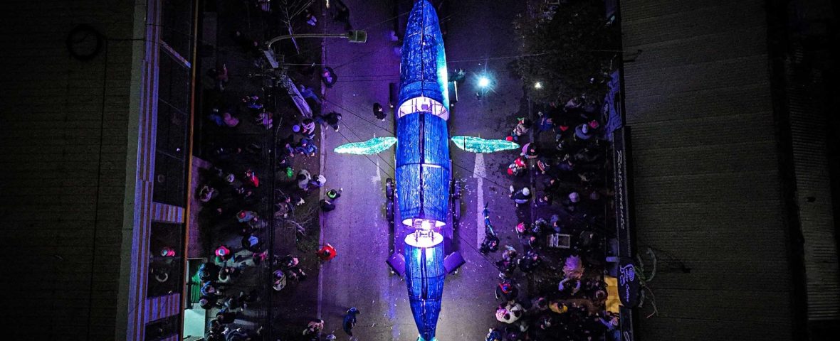 WhatsApp Image 2026-01-08 at 12.56.22 (2)