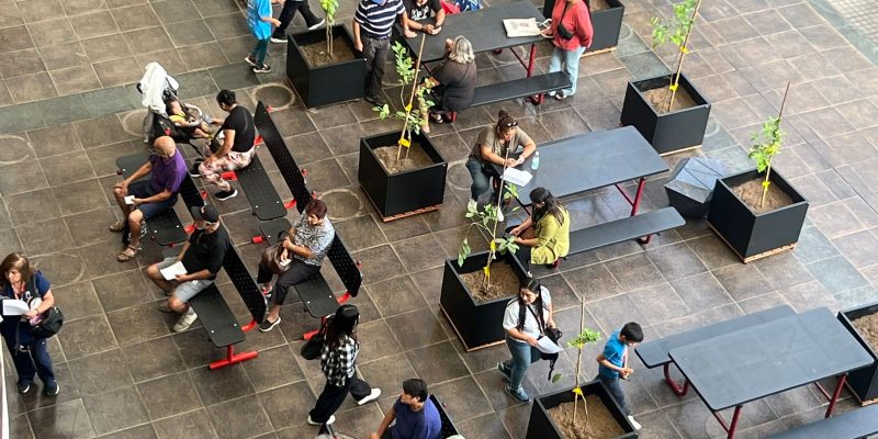 WhatsApp Image 2026-02-20 at 10.08.22