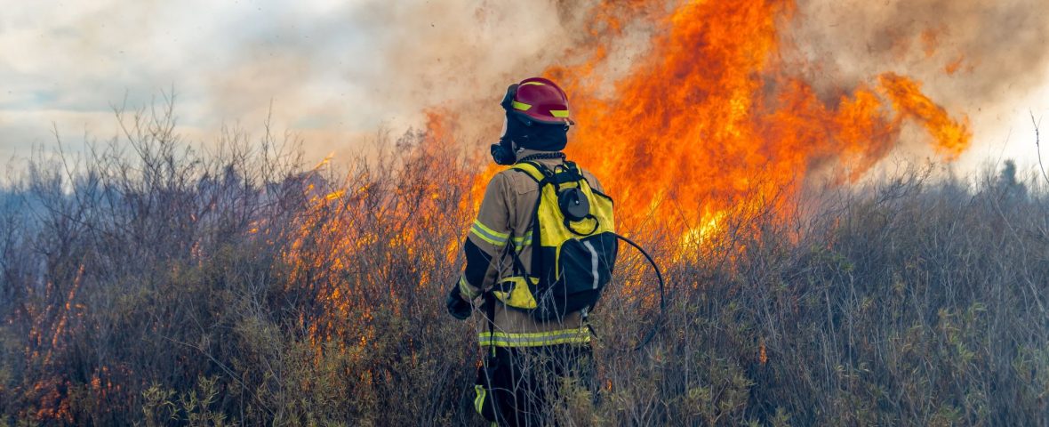 incendio forestal referencial (1)